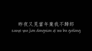 花僮  離人愁 【原唱：李袁杰 】中文歌词  Pinyin Lyrics [upl. by Benedix]