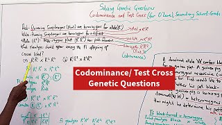 Solving Genetic Questions 3  CodominanceTest Cross O Level Secondary School Grade 10  12 [upl. by Anirat]