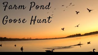 Farm Pond Goose Hunt  6 man LIMIT [upl. by Halimaj]