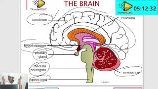 STUDY WITH ME LIFE SCIENCES GRADE 12 GET ALL HELP FROM MSAIDILIFE SCIENCES BY MSAIDI THUNDEREDUC [upl. by Lesko]