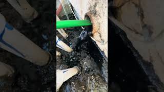 Restoring an 89 Year Old Cast Iron Pipe plumbing shorts [upl. by Riamu9]