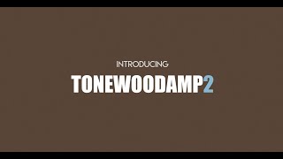 TONEWOODAMP2  PRE KICKSTARTER TEASER [upl. by Notreve479]