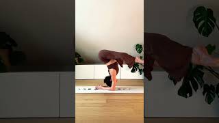 Yoga and Exercises  Flexibility  Muscle Strength  Stress Relief💯 trending shortsviral yoga [upl. by Antonia711]