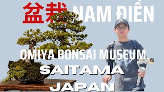 OMIYA Bonsai Museum A place where many bonsai trees gather [upl. by Nevs441]