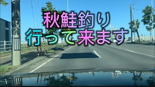 地元で秋鮭釣り釧路港 秋鮭 釣れない hiroハムtv 爆釣 [upl. by Nylsirk]