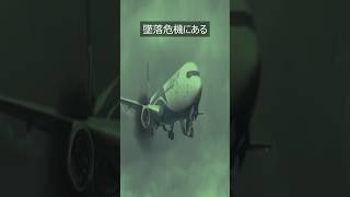 飛行機墜落事故で生き残る唯一の方法（旅行行く人必見） [upl. by Lenoil]