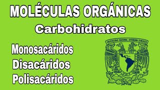 Carbohidratos  Moléculas orgánicas  Explicación  BIOLOGÍA [upl. by Nyahs]