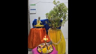 THUSLI SALIGRAMA VIVAHA AND BHIKSHMA PANCHAKA PRAVACHANAM [upl. by Akinuahs]