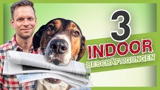 3 Ideen zur IndoorBeschäftigungen für deinen Hund Hundetraining Tipps [upl. by Yllop]