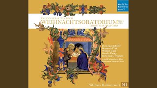 Weihnachtsoratorium BWV 248 Part I For the First Day of Christmas 4 Aria Alt  Bereite [upl. by Yard678]