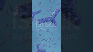 Structure of antibodies  immunoglobulins [upl. by Litnahs]