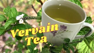 Vervain Tea HEALTH BENEFITS  HOW to MAKE Vervain Tea  Remedy for RESPIRATORY PROBLEMS [upl. by Zulch]