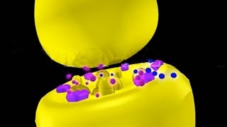 Nicotine amp Muscarine 3D Animation Neurotoxins [upl. by Standley160]