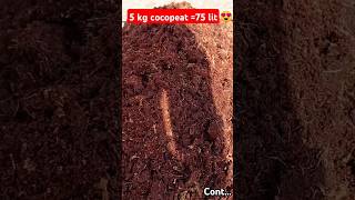 Cocopeat 5kg brick expanded 75 lit😍 cocopeat [upl. by Nilyaj]