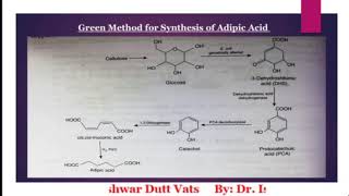 Green Synthesis of Adipic acid [upl. by Alvinia]