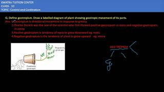 2 Define geotropism Draw a labelled diagram of a plant showing geotropic movement of its parts [upl. by Etnomal]