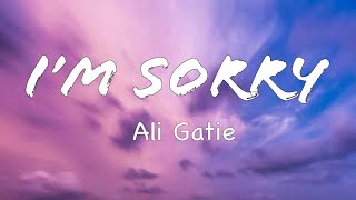 IM SORRY LYRICS ALI GATIE [upl. by Moser]