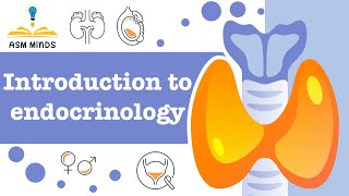 1Introduction to Endocrinology by ASM Minds Team [upl. by Eibbob394]