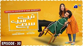 Tere Mere Sapnay Mega Episode 30  Eng Sub  Shahzad Sheikh  Sabeena Farooq  7th April 2024 [upl. by Shing]