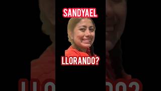 sandyael llorando y Mi vida en japon con Sandyael japan viral vlog korea bts japonesa 1k [upl. by Bobine675]