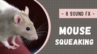 Mouse squeaking sound effects no copyright [upl. by Yessak]