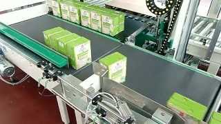 LITA Palletising Systems  Low Level Infeed Layer type Palletizer Presto2 [upl. by Pinebrook]