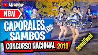 CAPORALES LOS SAMBOS 2019 SEMIFINAL CONCURSO NACIONAL [upl. by Sewell]