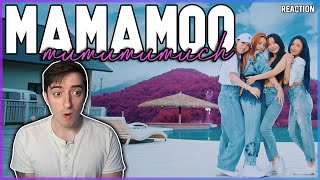 MAMAMOO  quotmumumumuchquot MV  REACTION [upl. by Nesilla]