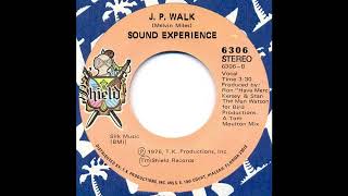 SOUND EXPERIENCE quotJP WALKquot A Tom Moulton Mix [upl. by Reema]