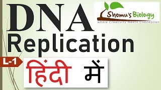 DNA replication in hindi [upl. by Meehan194]