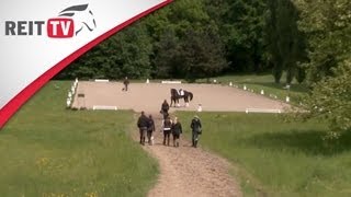 Dressurtraining mit Jean Bemelmans  Die Alten Meister [upl. by Gent625]