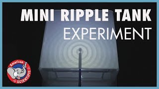 STEM Experiment Ripple Tank [upl. by Pain]