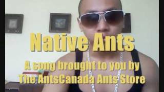 Lady Gaga Telephone Parody quotNative Antsquot Supporting Native Ant Keeping [upl. by Maxine439]