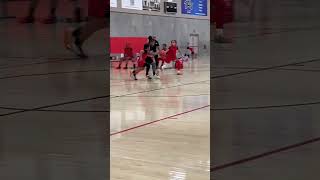 Kenzie 2029 steal and lay jusmyketv basketball ballislife nba basketballleague wnba ncaa [upl. by Web677]