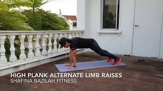 High Plank Alternate Limb Raises [upl. by Noterb]