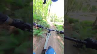 Old video testing out the Haibike allmtn cf se🚀🔥 fullsus fullbike bicycle haibike [upl. by Ailices541]