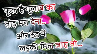 Phool Hai Gulab Ka🌹2024 ki Shayari 🌹 Gulab Shayari In Hindi [upl. by Sherry]