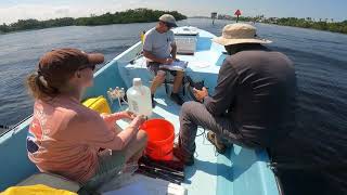 Water Quality Sampling After the Storm [upl. by Nyroc]