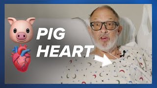 The man with the heart of a pig [upl. by Ahab]