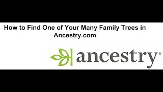 How to Find One of Your Many Family Trees in Ancestry com [upl. by Ardelia49]