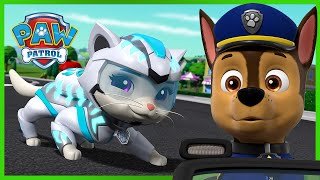 ¡Los cachorros se reúnen con la Cuadrilla Cat por primera vez  PAW Patrol Episodio Español Español [upl. by Christabella246]