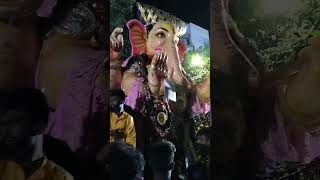 Hiltop chi Raja visarjan [upl. by Petulia]