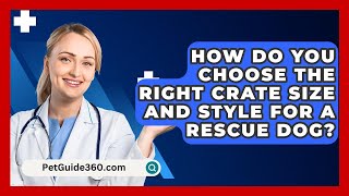 How Do You Choose the Right Crate Size and Style for a Rescue Dog  PetGuide360com [upl. by Aeirdna]