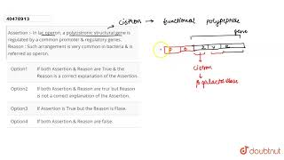 Assertion  In lac operon a polycistronic structural gene is regulated by a common promoter amp [upl. by Gunar338]