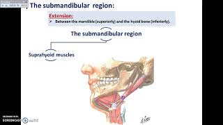 Overview of Head Exterior Preauricular and Submandibular Regions  Dr Ahmed Farid [upl. by Kosse]