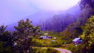 Sillary Gaon Kalimpong ↑ Travel Vlog No 35 with Santanu Ganguly [upl. by Sherill]