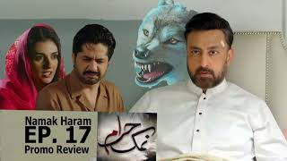 NAMAK HARAM DRAMA 17 Episode [upl. by Let]