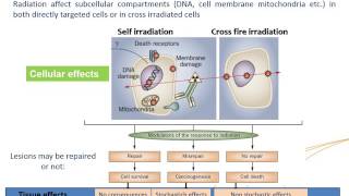 IAEAESNM Webinar  Basic Principles of Radionuclide Therapy and Common Clinical Applications [upl. by Rossen]