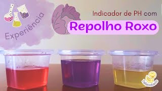 Indicador de PH com Repolho Roxo Experimento  Telecoteco [upl. by Atipul]