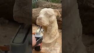 Carvingg Beautiful Dog  Wood Carving 360  Asmr Videos [upl. by Laoj]